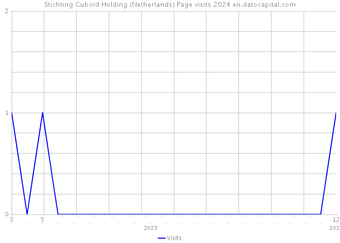Stichting Cuboïd Holding (Netherlands) Page visits 2024 