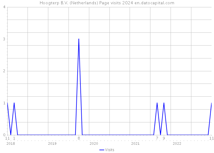 Hoogterp B.V. (Netherlands) Page visits 2024 