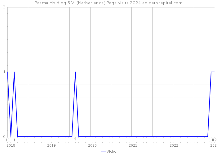 Pasma Holding B.V. (Netherlands) Page visits 2024 