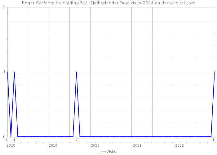 Roger Cerfontaine Holding B.V. (Netherlands) Page visits 2024 