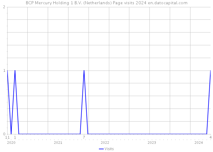 BCP Mercury Holding 1 B.V. (Netherlands) Page visits 2024 