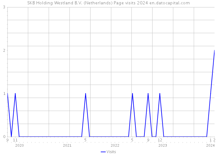 SKB Holding Westland B.V. (Netherlands) Page visits 2024 