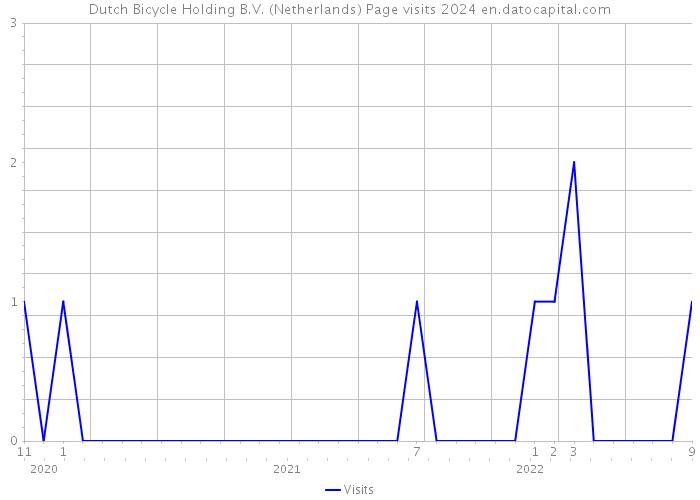 Dutch Bicycle Holding B.V. (Netherlands) Page visits 2024 