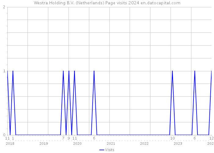 Westra Holding B.V. (Netherlands) Page visits 2024 