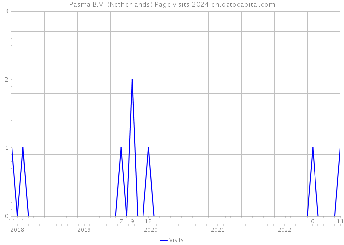 Pasma B.V. (Netherlands) Page visits 2024 
