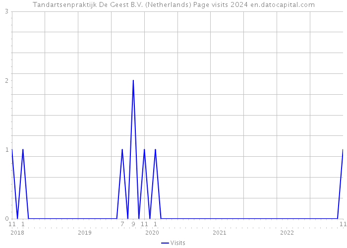 Tandartsenpraktijk De Geest B.V. (Netherlands) Page visits 2024 