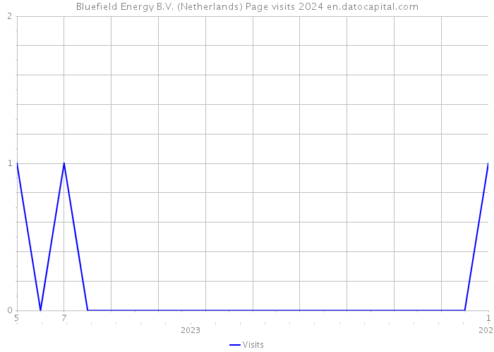 Bluefield Energy B.V. (Netherlands) Page visits 2024 