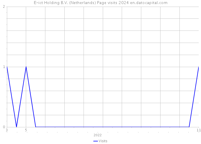 E-ict Holding B.V. (Netherlands) Page visits 2024 
