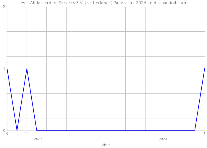 Hak Alblasserdam Services B.V. (Netherlands) Page visits 2024 