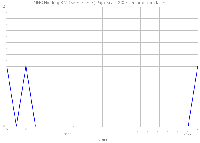 MNG Holding B.V. (Netherlands) Page visits 2024 