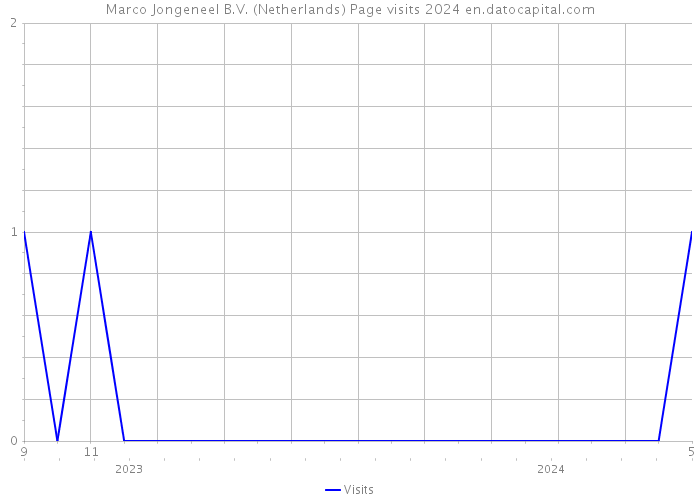 Marco Jongeneel B.V. (Netherlands) Page visits 2024 