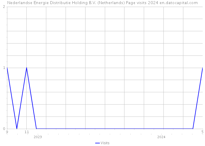 Nederlandse Energie Distributie Holding B.V. (Netherlands) Page visits 2024 