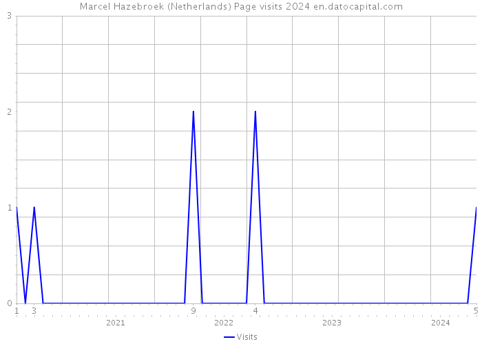 Marcel Hazebroek (Netherlands) Page visits 2024 