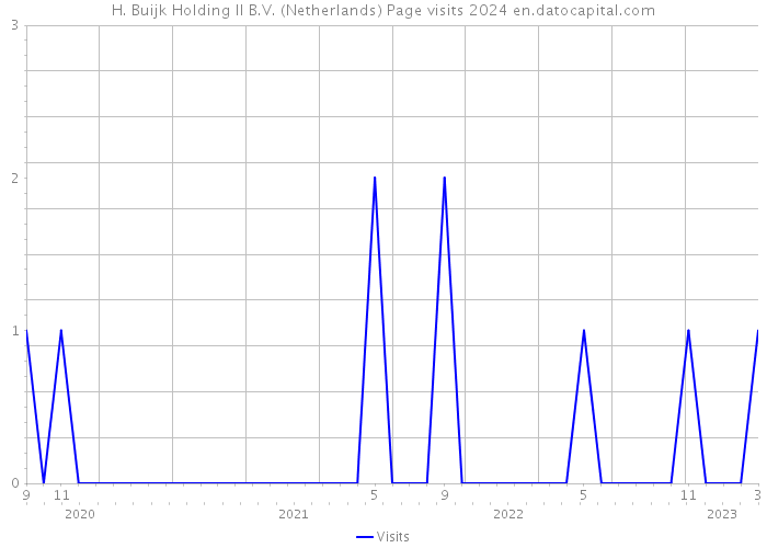 H. Buijk Holding II B.V. (Netherlands) Page visits 2024 