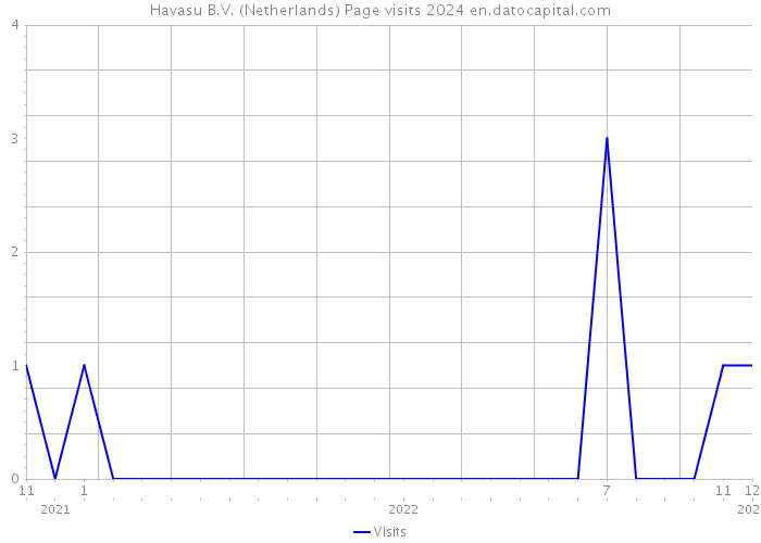 Havasu B.V. (Netherlands) Page visits 2024 