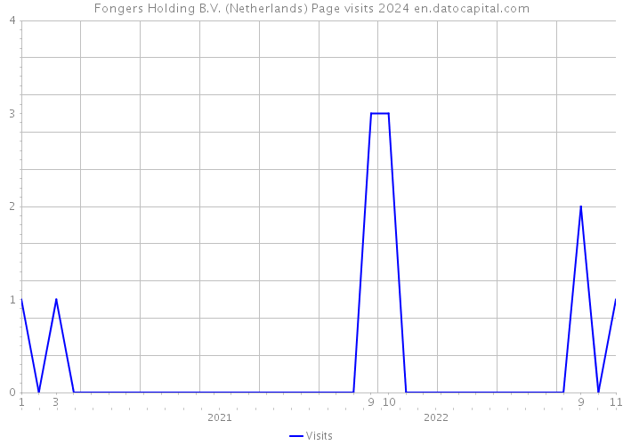 Fongers Holding B.V. (Netherlands) Page visits 2024 