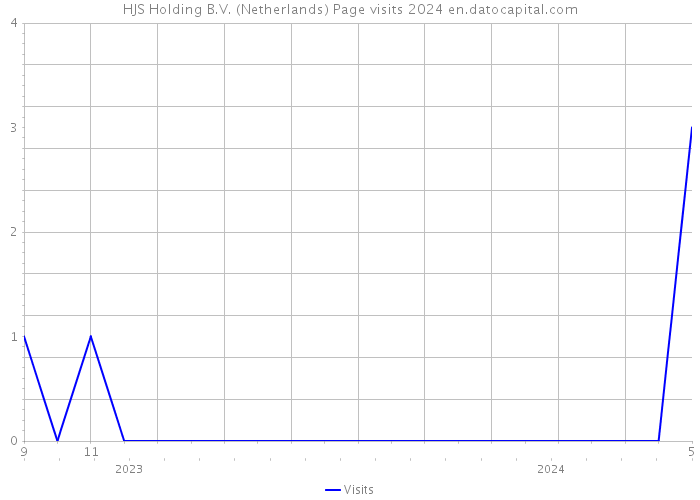 HJS Holding B.V. (Netherlands) Page visits 2024 