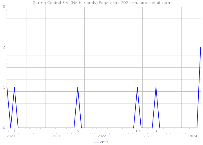 Spring Capital B.V. (Netherlands) Page visits 2024 