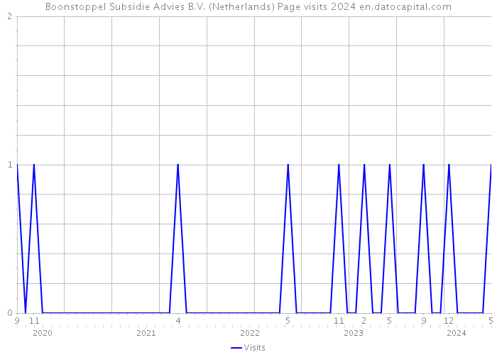 Boonstoppel Subsidie Advies B.V. (Netherlands) Page visits 2024 
