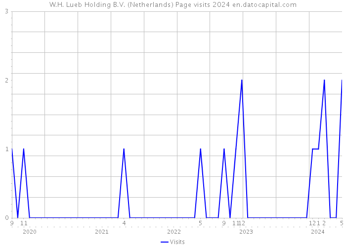 W.H. Lueb Holding B.V. (Netherlands) Page visits 2024 