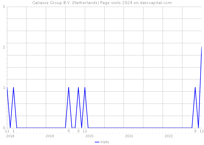 Galiasse Group B.V. (Netherlands) Page visits 2024 