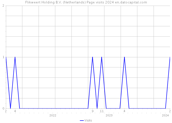 Flikweert Holding B.V. (Netherlands) Page visits 2024 