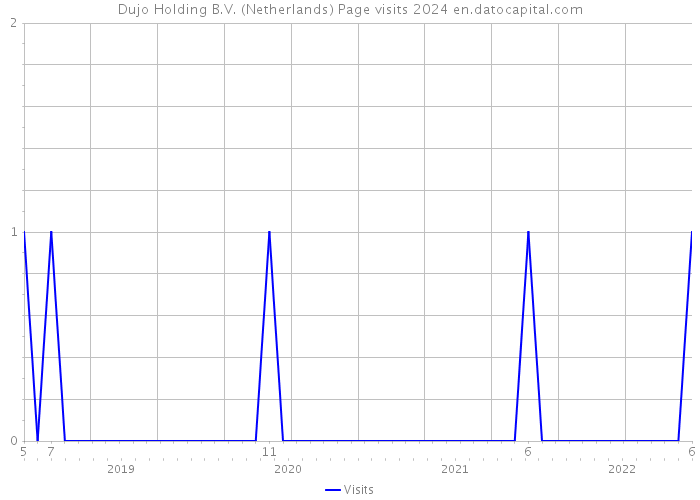 Dujo Holding B.V. (Netherlands) Page visits 2024 