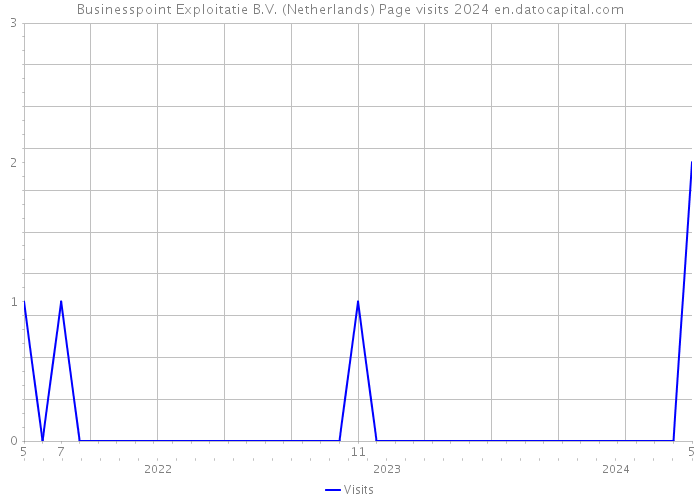 Businesspoint Exploitatie B.V. (Netherlands) Page visits 2024 