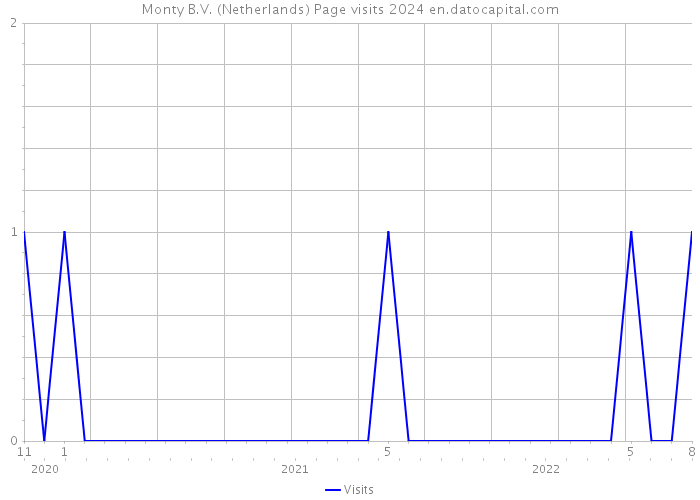 Monty B.V. (Netherlands) Page visits 2024 