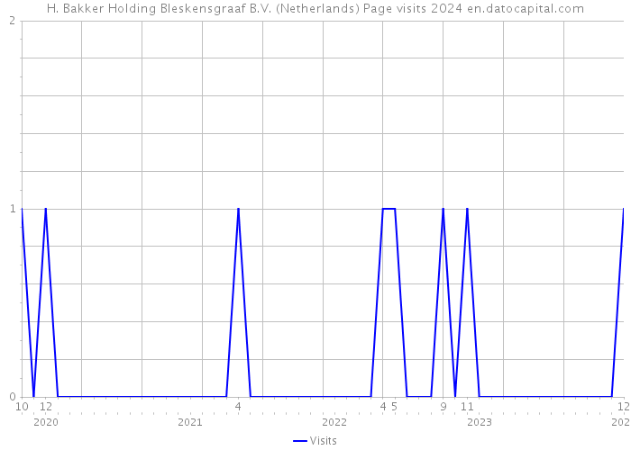 H. Bakker Holding Bleskensgraaf B.V. (Netherlands) Page visits 2024 