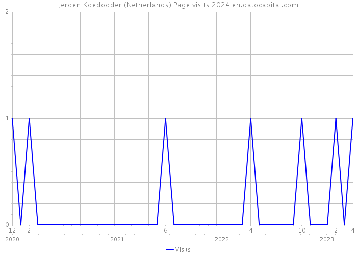 Jeroen Koedooder (Netherlands) Page visits 2024 