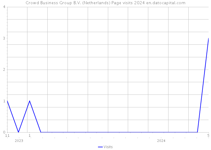 Crowd Business Group B.V. (Netherlands) Page visits 2024 