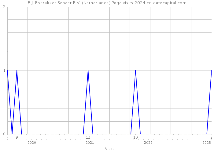 E.J. Boerakker Beheer B.V. (Netherlands) Page visits 2024 