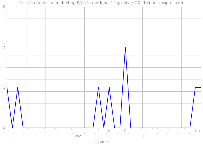 TeLo Personeelsbemiddeling B.V. (Netherlands) Page visits 2024 