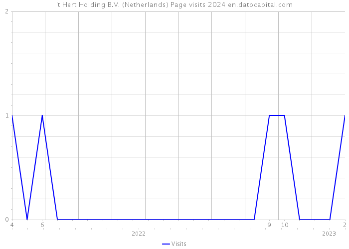 't Hert Holding B.V. (Netherlands) Page visits 2024 