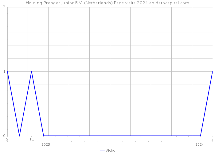 Holding Prenger Junior B.V. (Netherlands) Page visits 2024 