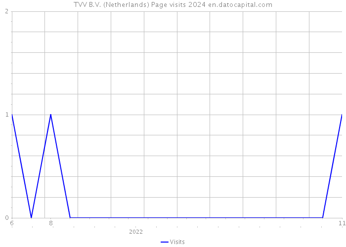 TVV B.V. (Netherlands) Page visits 2024 