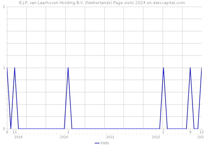 E.J.P. van Laarhoven Holding B.V. (Netherlands) Page visits 2024 