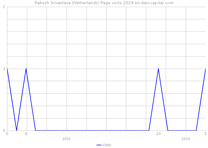 Rakesh Srivastava (Netherlands) Page visits 2024 