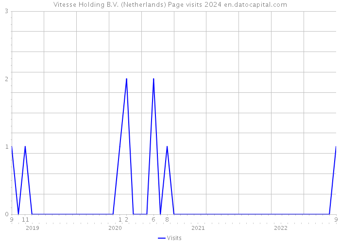 Vitesse Holding B.V. (Netherlands) Page visits 2024 