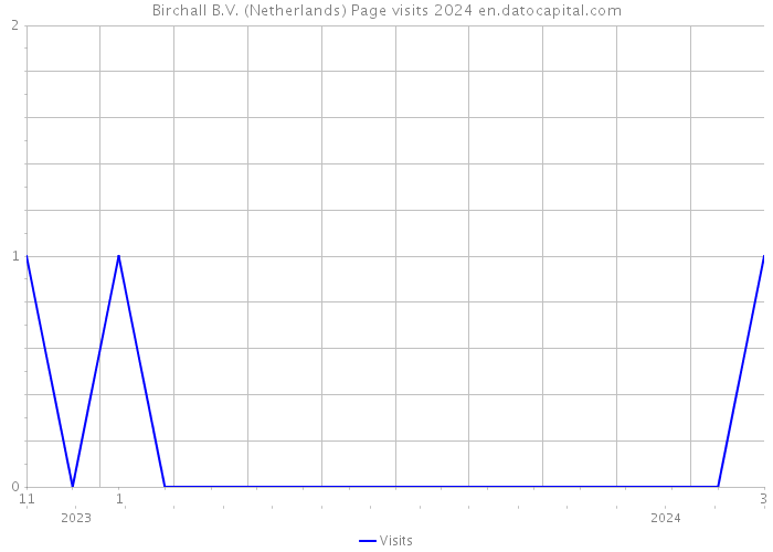 Birchall B.V. (Netherlands) Page visits 2024 