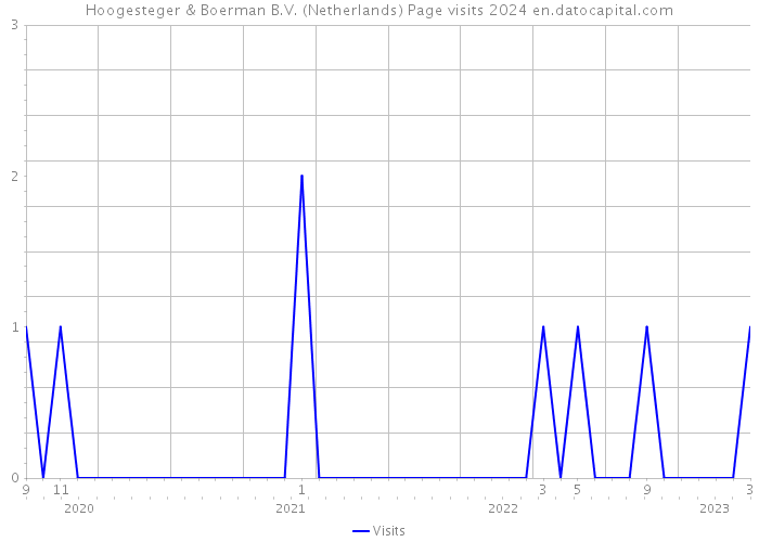 Hoogesteger & Boerman B.V. (Netherlands) Page visits 2024 