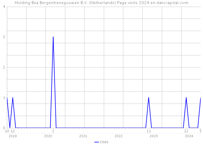 Holding Bea Bergenhenegouwen B.V. (Netherlands) Page visits 2024 
