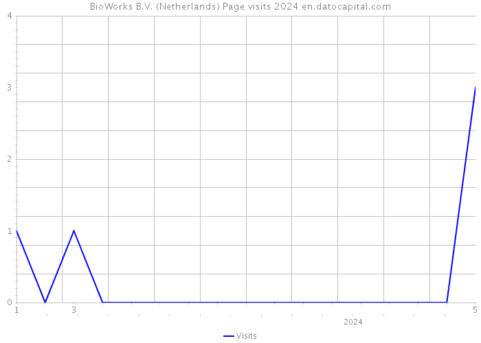 BioWorks B.V. (Netherlands) Page visits 2024 