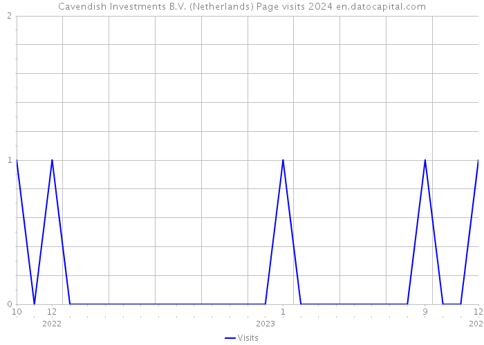 Cavendish Investments B.V. (Netherlands) Page visits 2024 