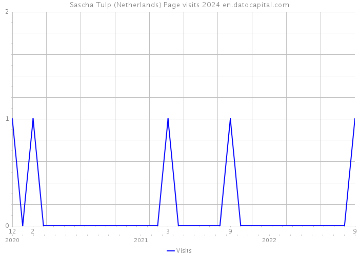 Sascha Tulp (Netherlands) Page visits 2024 