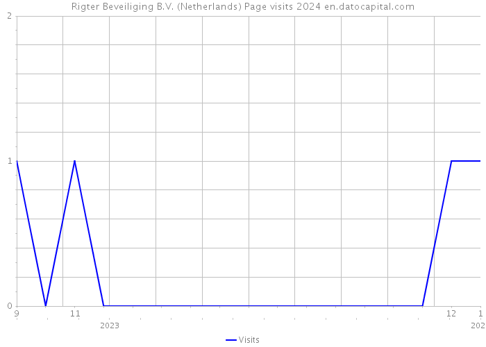 Rigter Beveiliging B.V. (Netherlands) Page visits 2024 