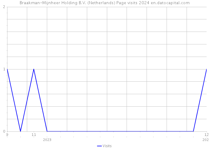 Braakman-Mijnheer Holding B.V. (Netherlands) Page visits 2024 