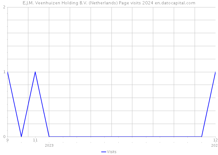 E.J.M. Veenhuizen Holding B.V. (Netherlands) Page visits 2024 