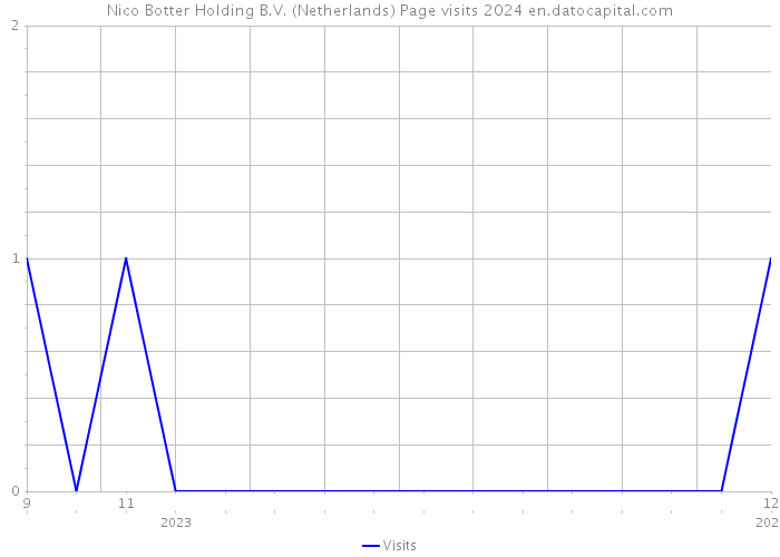 Nico Botter Holding B.V. (Netherlands) Page visits 2024 